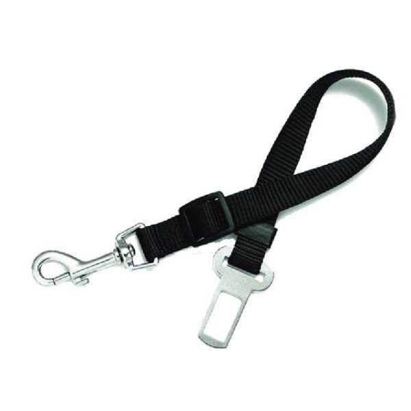 Correa de Seguridad simple