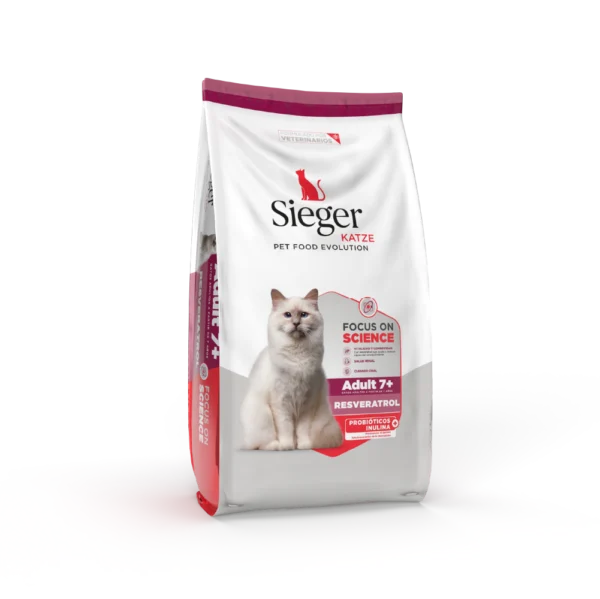 Sieger Katze Senior