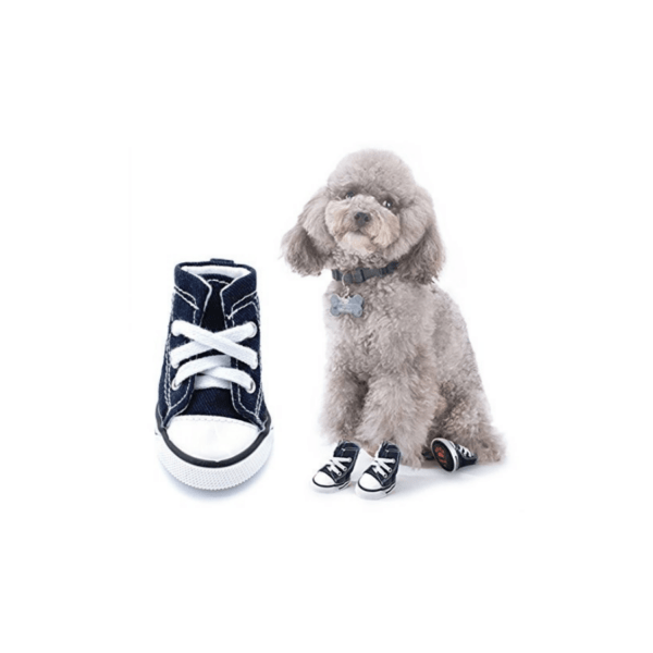 Zapatilla con Cordones