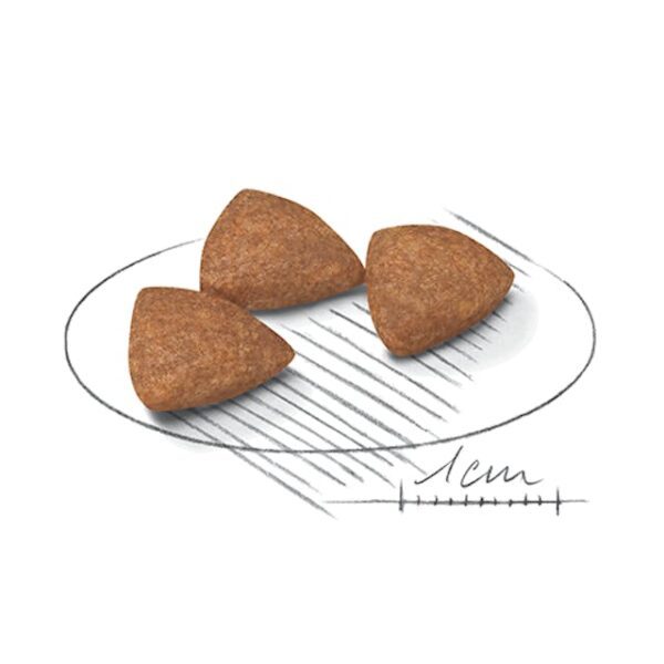 Royal Canin Mini Indoor Adulto - Imagen 2