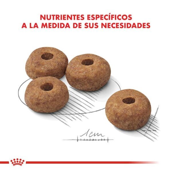 Royal Canin Medium Castrados - Imagen 2