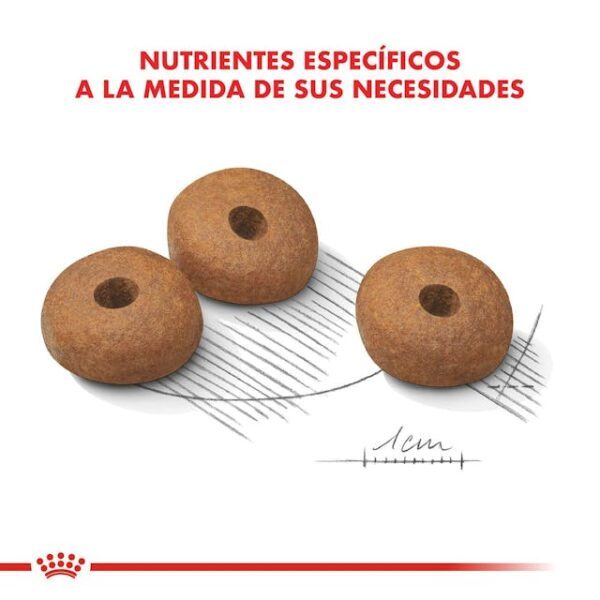 Royal canin Medium Weight Care - Imagen 2