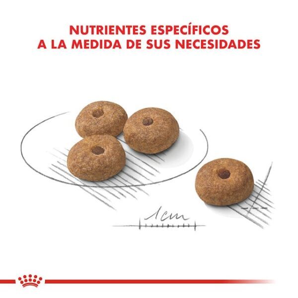 Royal Canin Mini Castrados - Imagen 2
