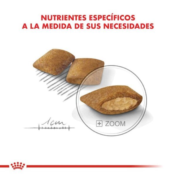 Royal Canin Mini Exigent - Imagen 2
