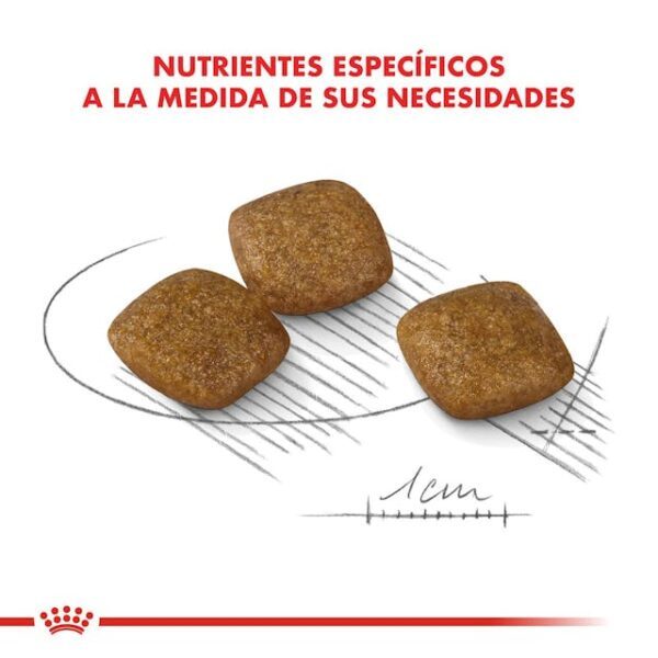 Royal Canin Mini Relax Care - Imagen 2