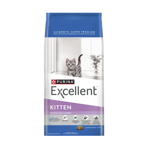 Excellent Ktten