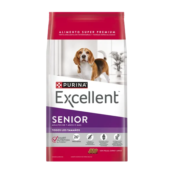 Excellent Adulto Senior