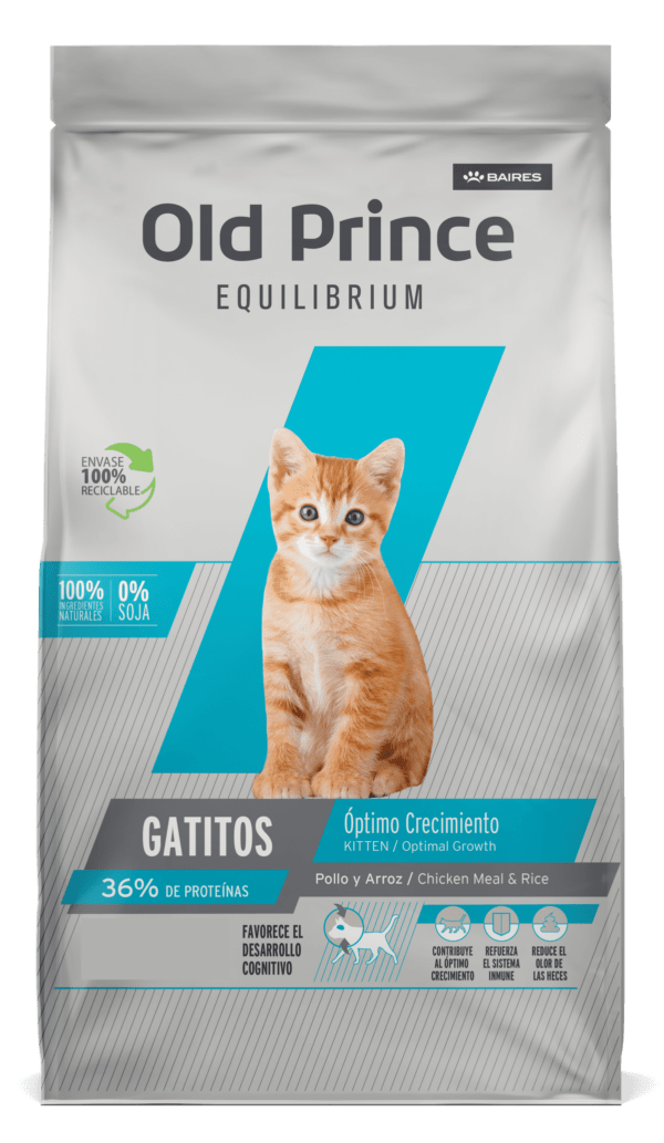 Old Prince Equilibrium Gatitos