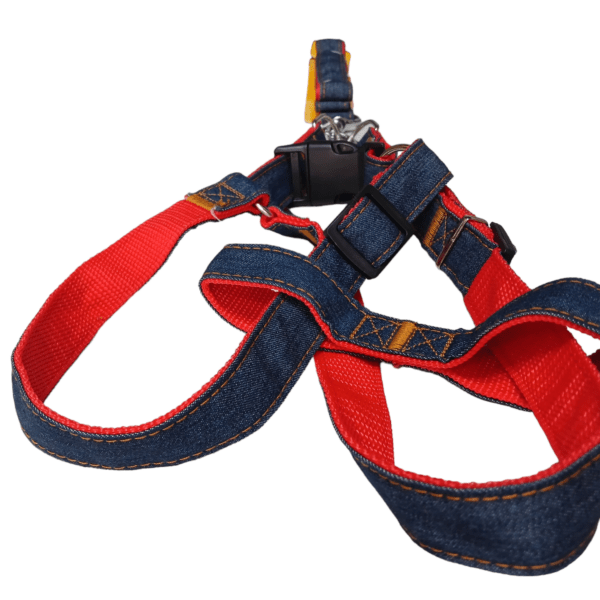 Conjunto Arnes Jean Doble C/Correa - Imagen 2