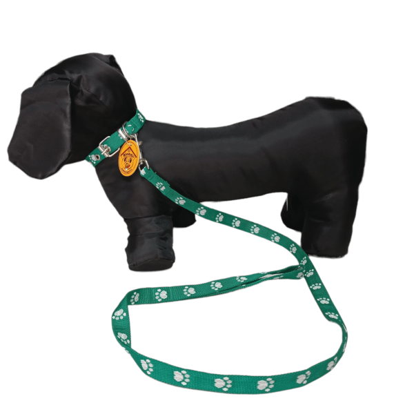 Conjunto Nylon Collar y Correa