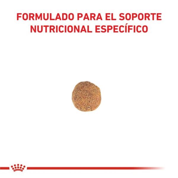 Royal Canin Hypoallargenic Moderate Calorie - Imagen 2