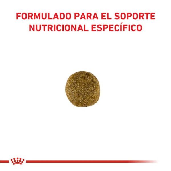 Royal Canin Gastrointestinal Canine - Imagen 2