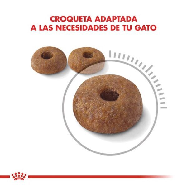Royal Canin Weight Care - Imagen 2
