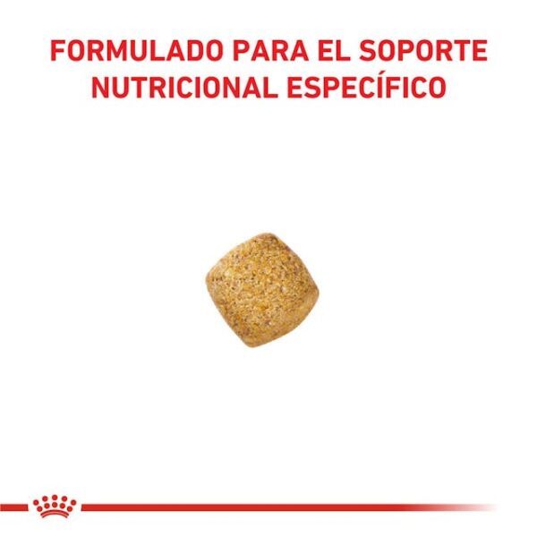 Royal Canin Gatos Castrados Weight Control - Imagen 2