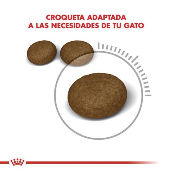 Royal Canin Hair & Skin Care - Imagen 2