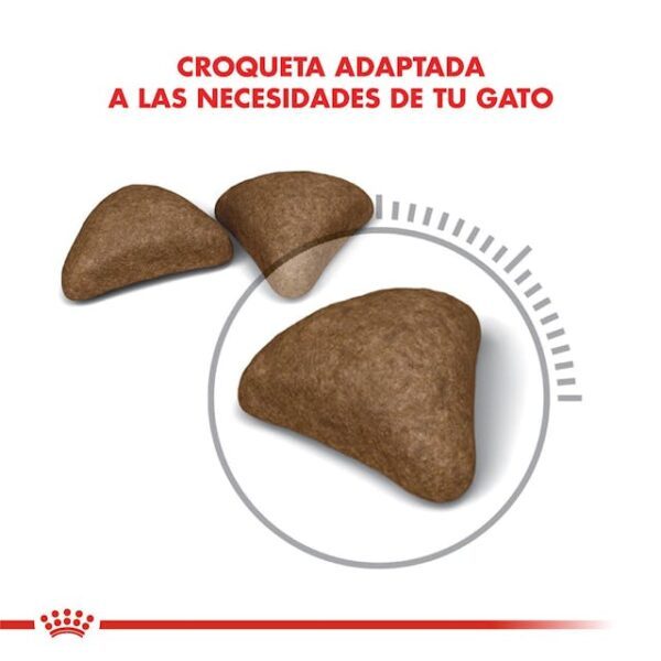 Royal Canin Hairball Care - Imagen 2