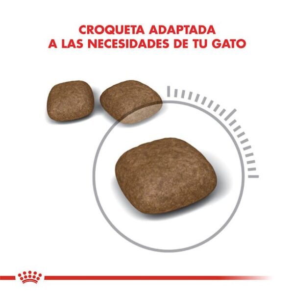 Royal Canin Urinary Care - Imagen 2