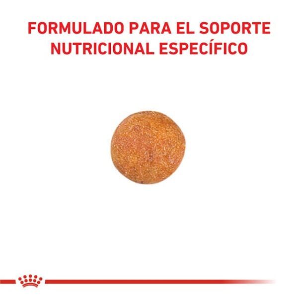 Royal Canin Urinary S/O feline - Imagen 2