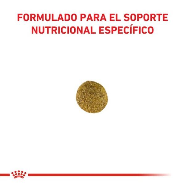 Royal Canin Satiety Support Weight Management Feline - Imagen 2