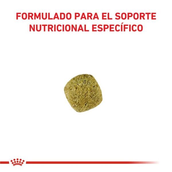 Royal Canin Diabetic Feline - Imagen 2