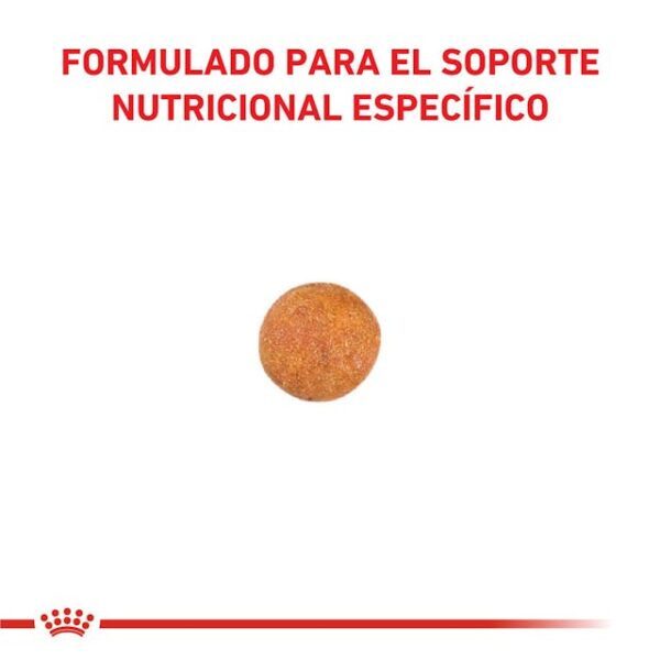 Royal Canin Gastrointestinal Moderate Calorie feline - Imagen 2