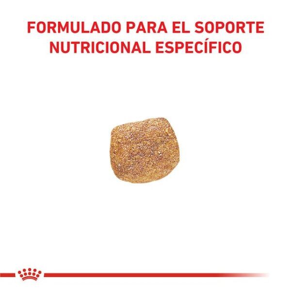 Royal Canin Urinary S/O Canine - Imagen 2