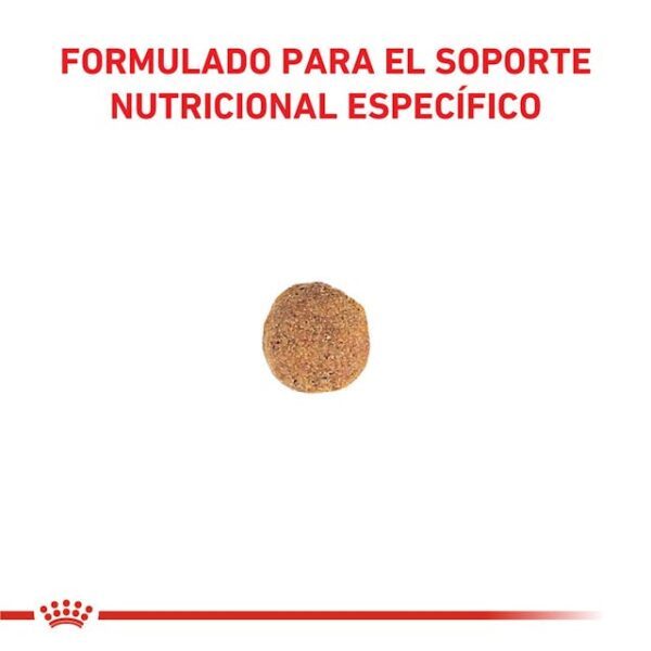 Royal canin Satiety Support Weigth Management Small Dog - Imagen 2