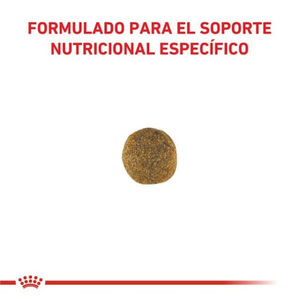 Royal Canin Cardiac Canine - Imagen 2