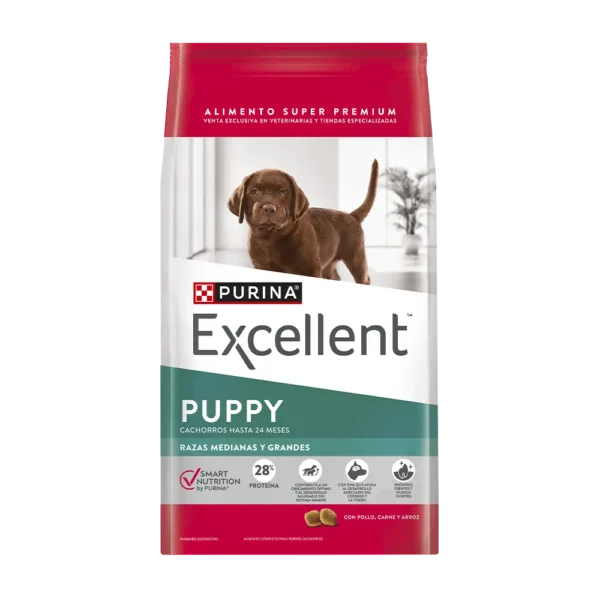 Excellent Puppy Raza Medianas Grande