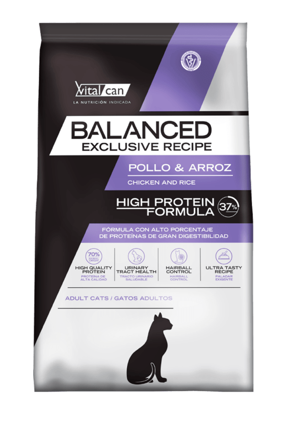 Exclusive Recipe High Protein Pollo y Arroz