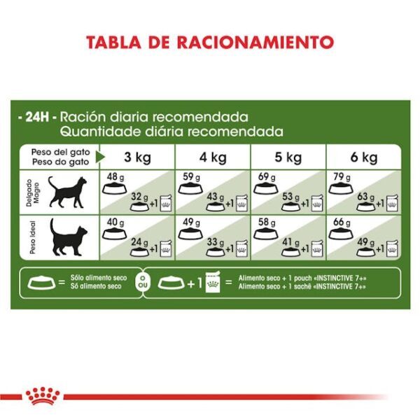 Royal Canin Active 7+ - Imagen 3