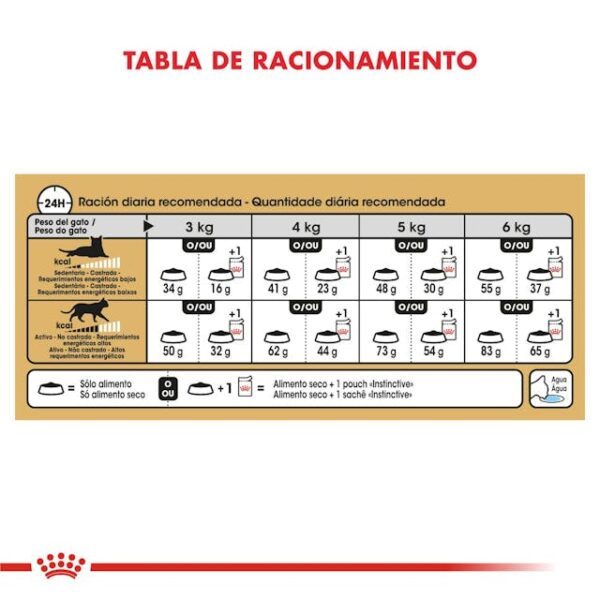 Royal Canin Siamese Adult - Imagen 3