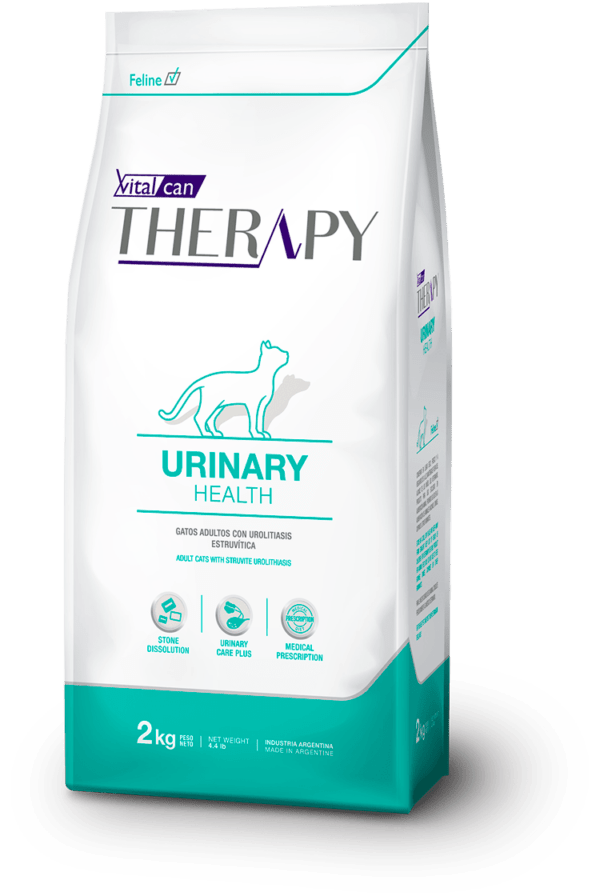 Therapy Cat urinary healty