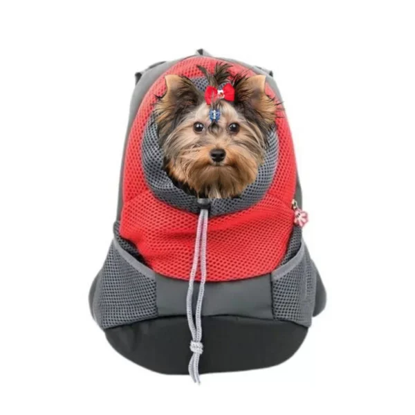 Mochila Transportadora